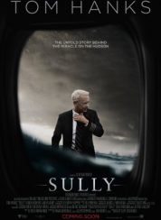 Sully Türkçe Dublaj Full izle