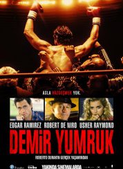 Demir Yumruk Tek Parça 720p izle 2016